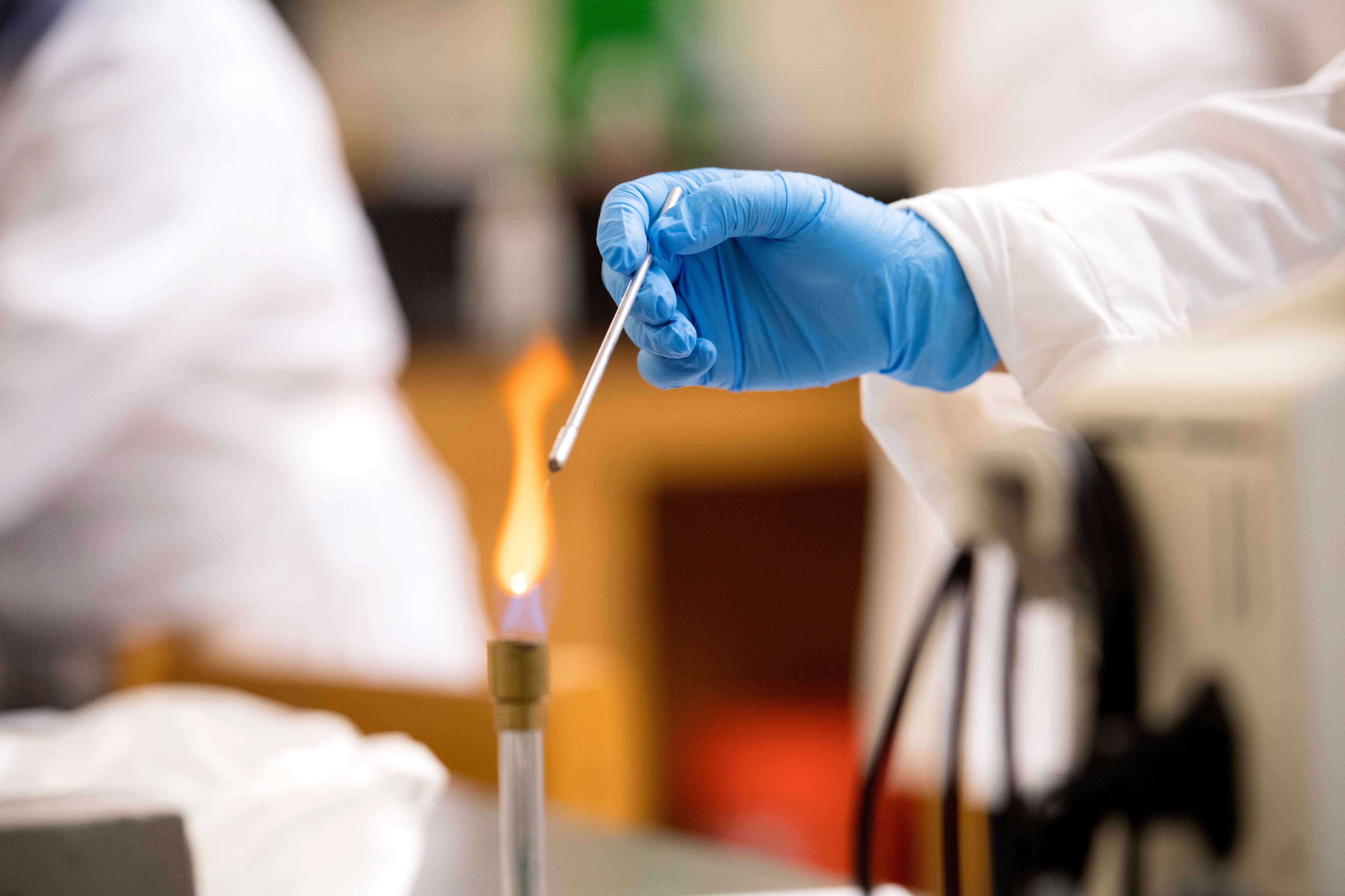 002_MicroBiology_Constantin_UDallas1017