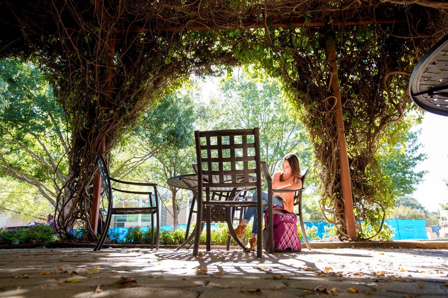 119_General_Campus_UDallas1017-1500x998-287ea427-ab1a-4d05-9349-456064b5ed55