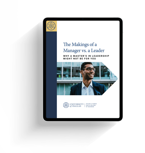 Master of Leadership eBook cover mockup